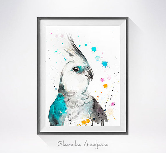 570x525 Cockatiel Parrot Watercolor Painting Print