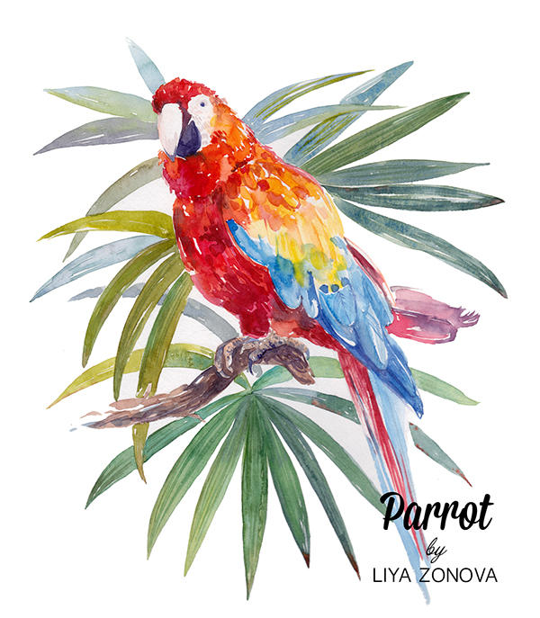 600x687 Watercolor Illustration And Pattern With Parrot On Behance