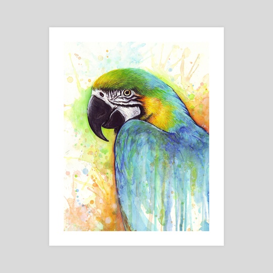 540x540 Colorful Macaw Parrot Watercolor Painting, An Art Print By Olga