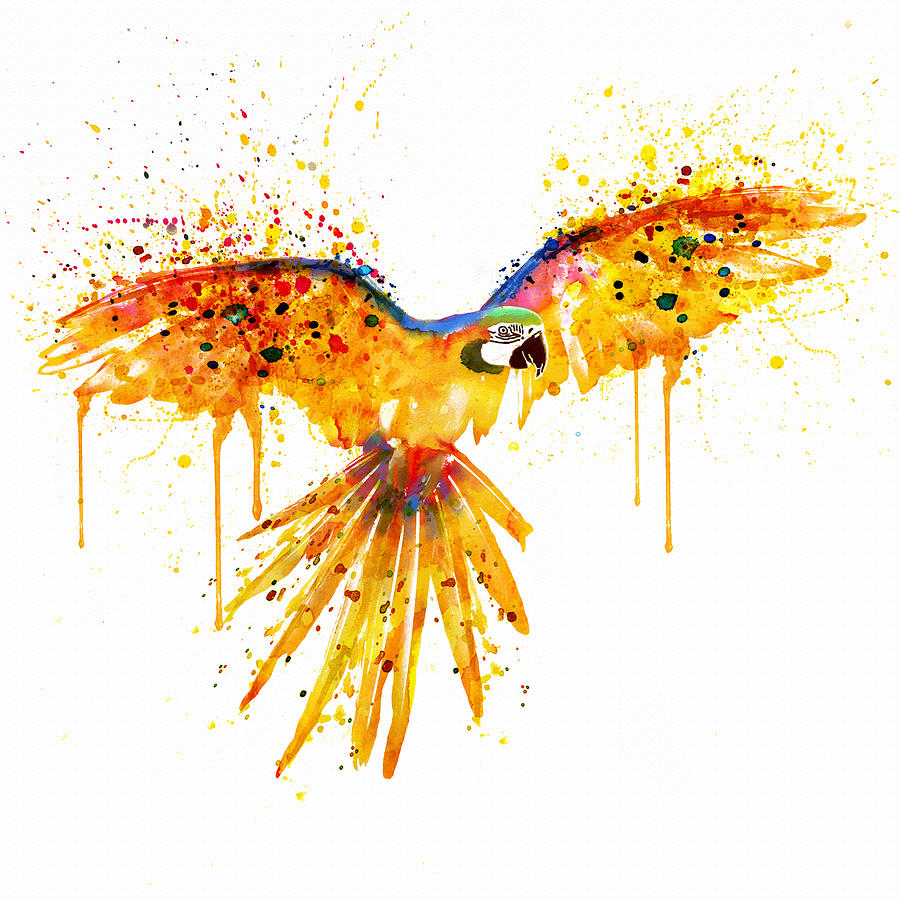900x900 Flying Parrot Watercolor Painting By Marian Voicu