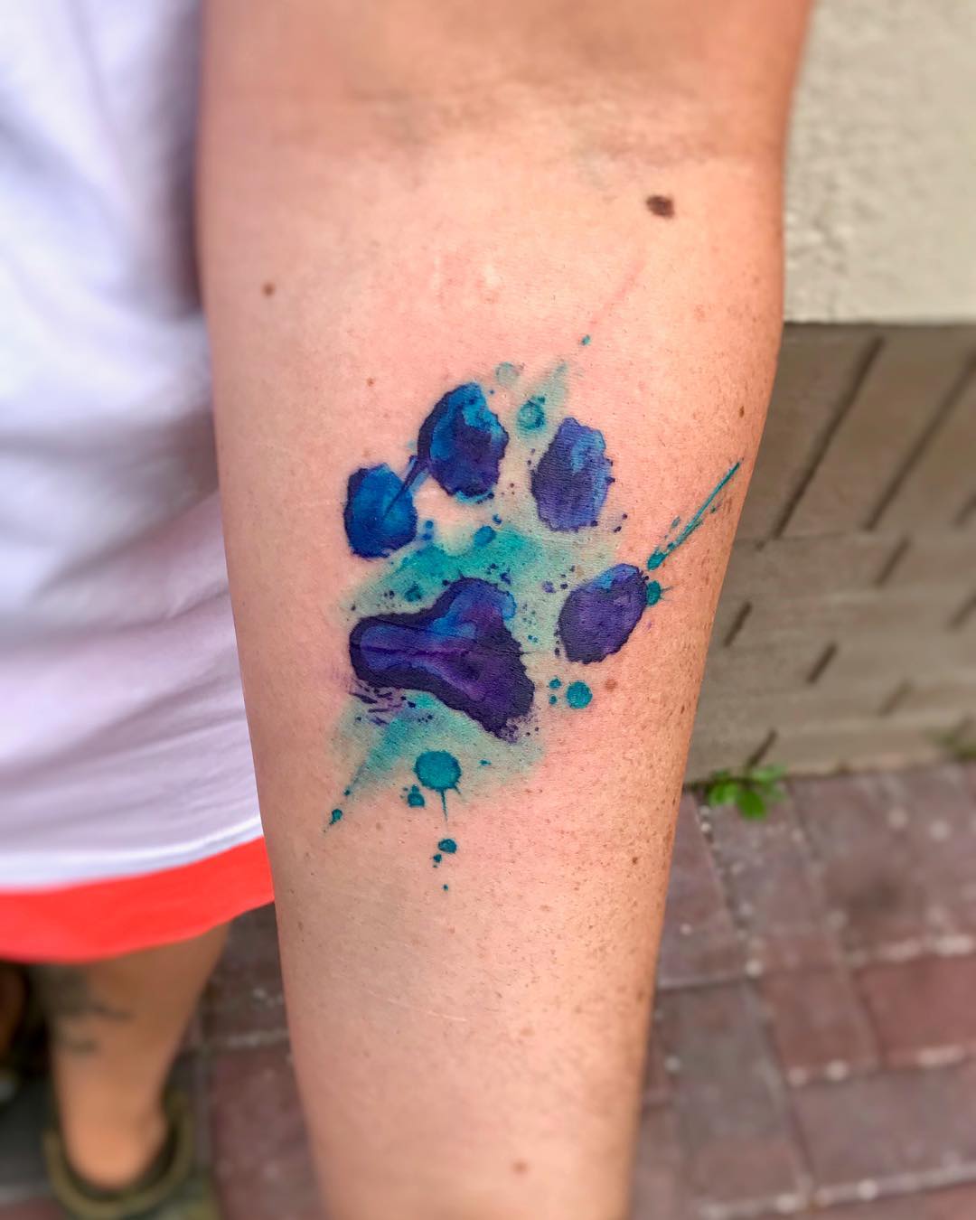 1080x1350 Paw Print Tattoo Watercolor On Instagram