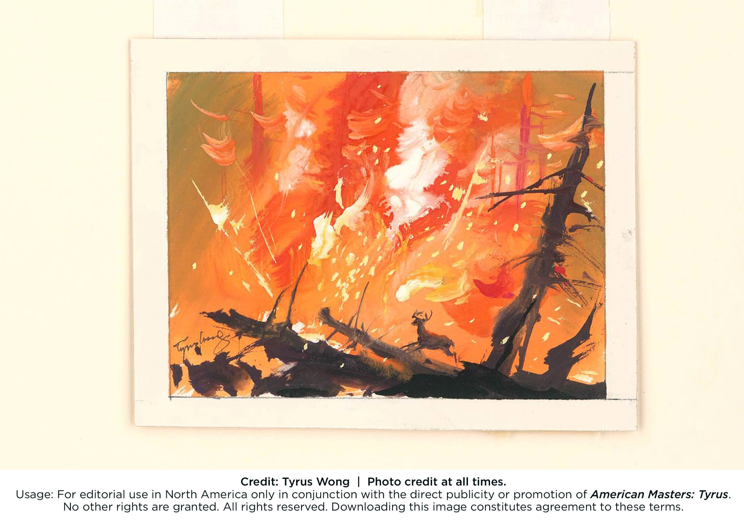 2467x1731 American Masters Tyrus Press Release Pressroom Thirteen