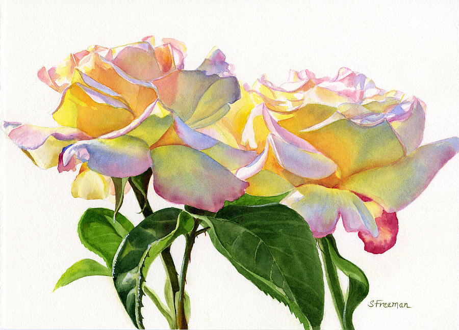 900x648 Two Peace Roses Painting By Sharon Freeman