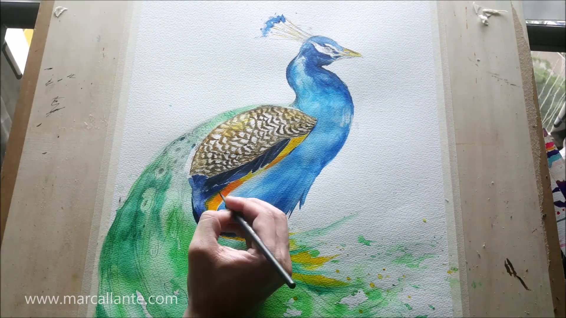 Peacock Painting Watercolor