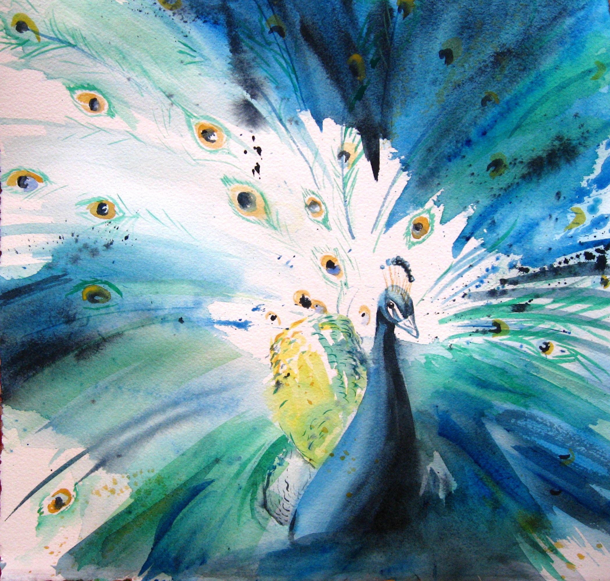 2096x1996 Peacock Watercolor Home Decor That I Love Peacocks