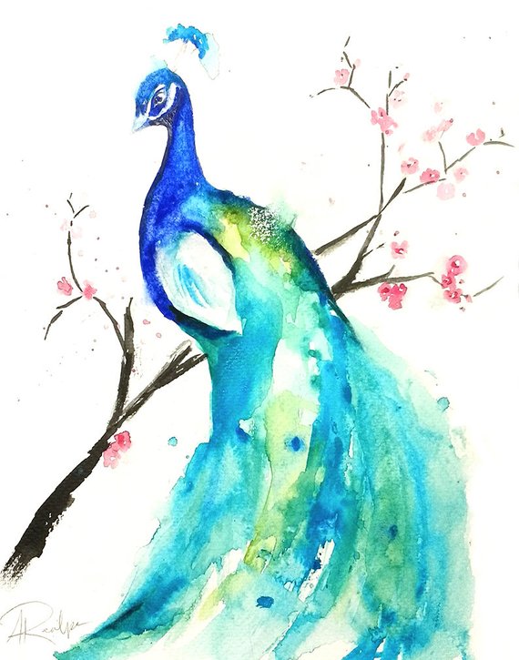 570x725 Peacock Watercolor Painting Original Artwork Original Etsy