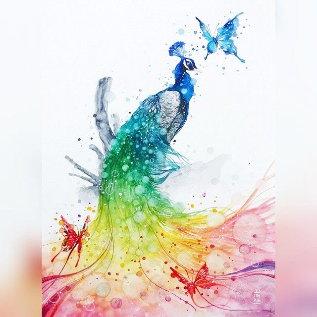 640x640 Peacock Painting Watercolor