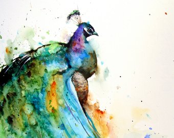 340x270 Peacock Watercolor Etsy