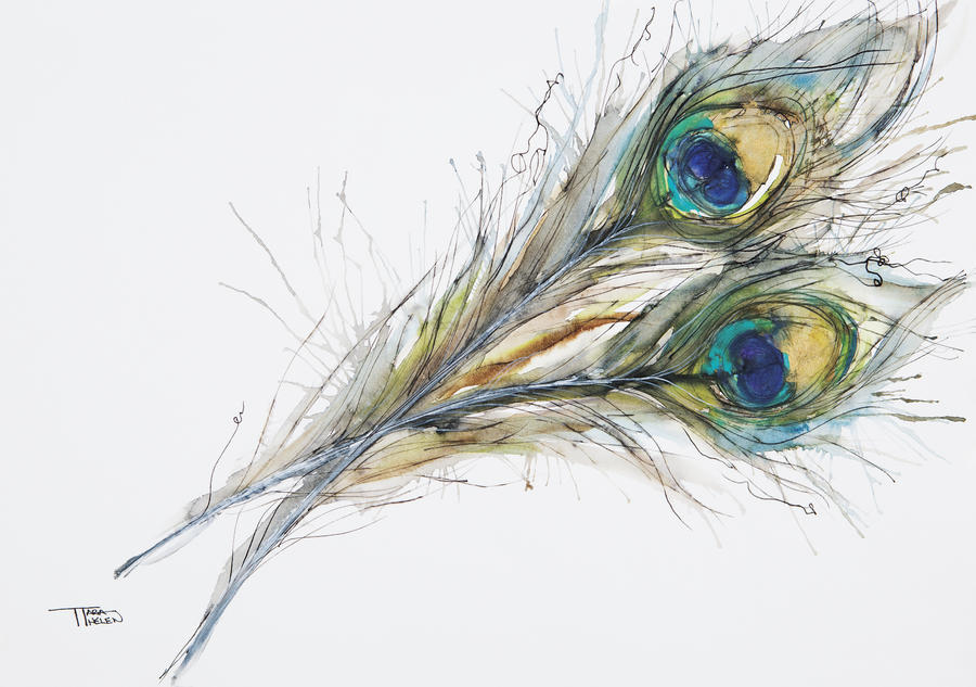 900x633 Watercolor Painting Of Two Peacock Feathers.
