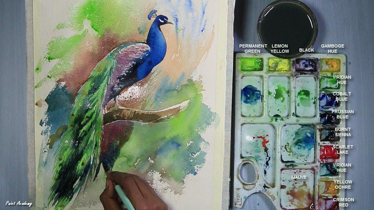 1280x720 How To Paint A Peacock In Watercolor Step By Step