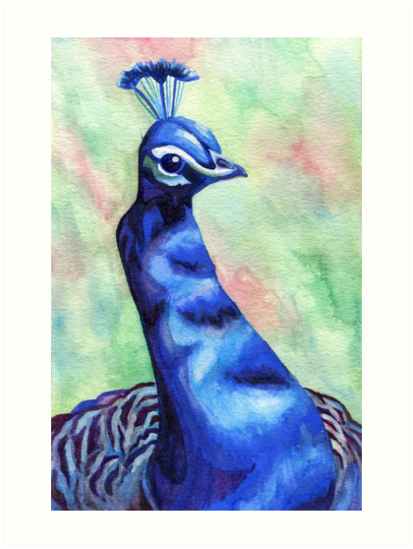 413x549 Peacock Watercolor Painting