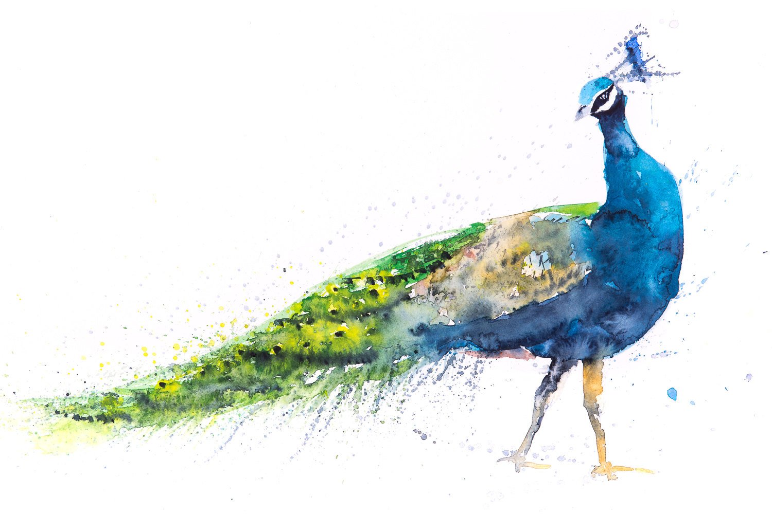 1500x1000 Peacock Painting No.1 Wall Art Watercolour
