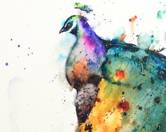 340x270 Peacock Watercolor Etsy