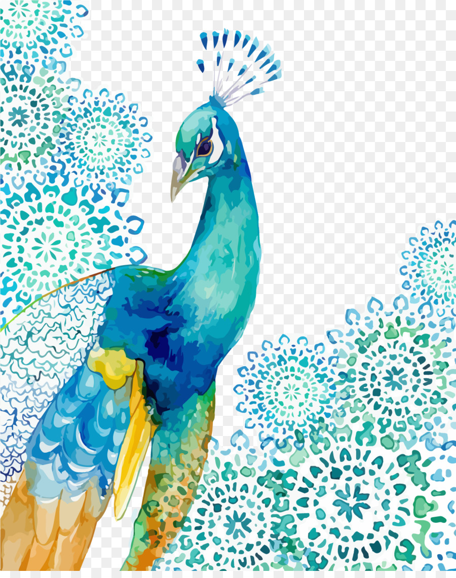 900x1140 Peafowl Watercolor Painting Drawing Feather