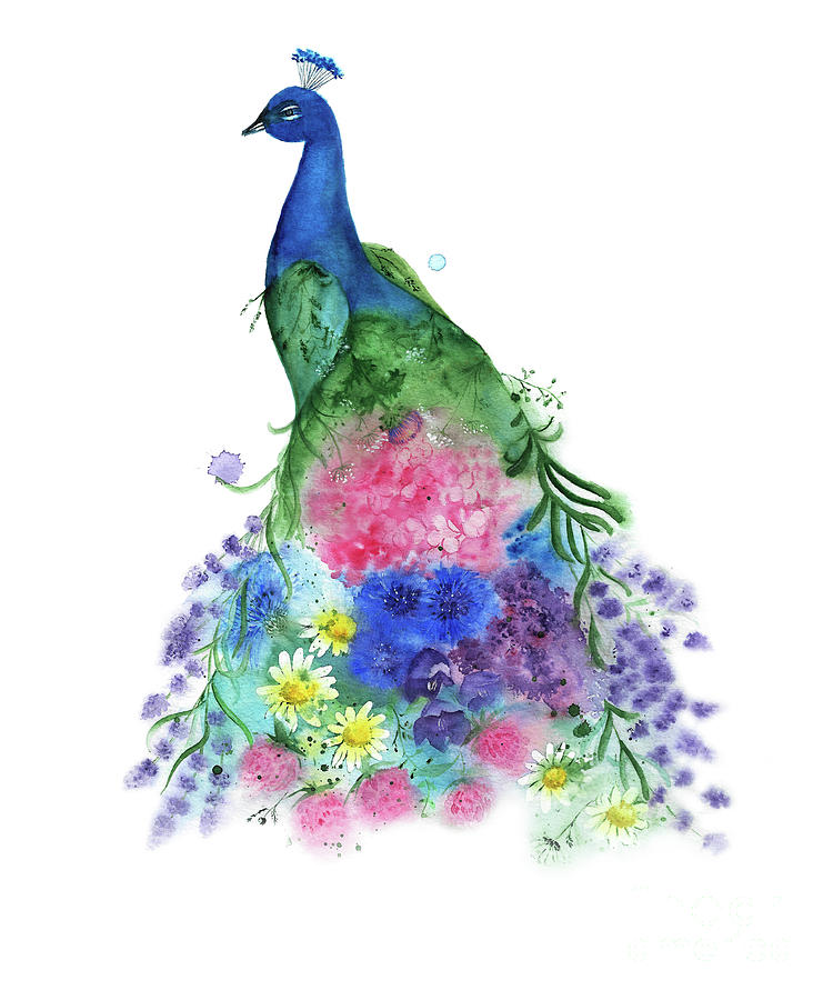 750x900 Watercolor Peacock Drawing By Liliya Suleymanova