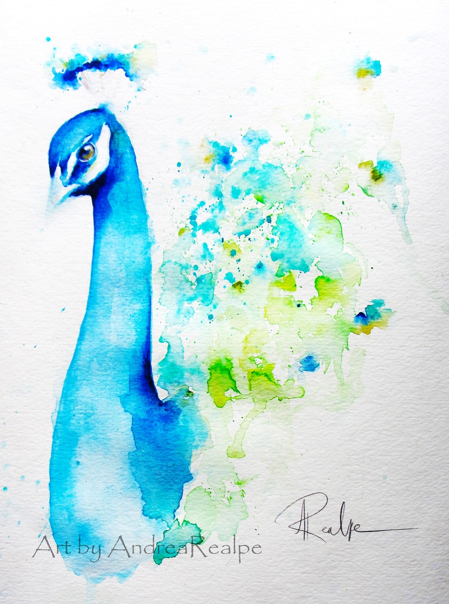 903x1215 Peacock Watercolor Painting Angy Paints