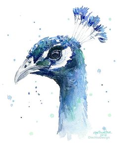 236x295 Peacock Painting