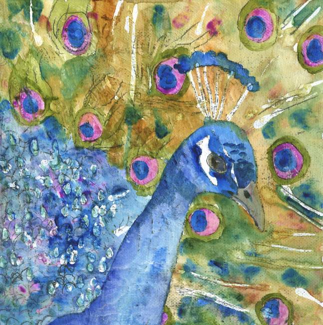 647x650 Peacock Party, Watercolor Painting Art By Miriam Schulman