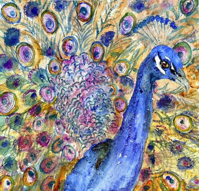 650x623 Amethyst Peacock, Watercolor Painting By Miriam Schulman