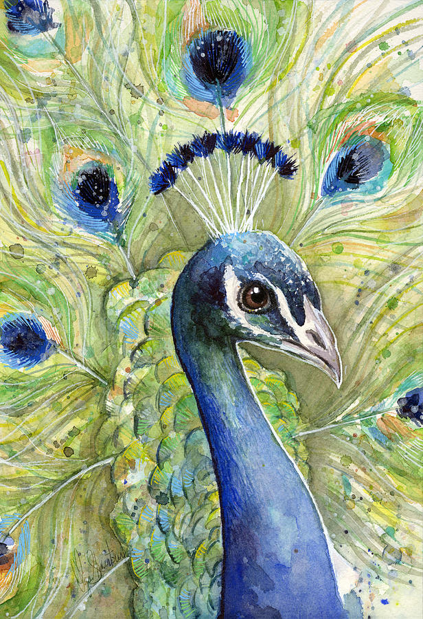 616x900 Peacock Watercolor Portrait Painting By Olga Shvartsur