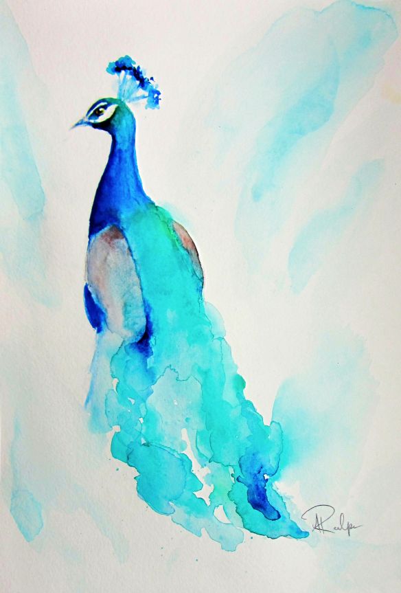 584x863 Peacock Watercolor Painting Art Watercolor