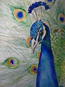 225x300 Watercolor Painting Peacock Bird Feathers Nature 5x7 Art Ebay