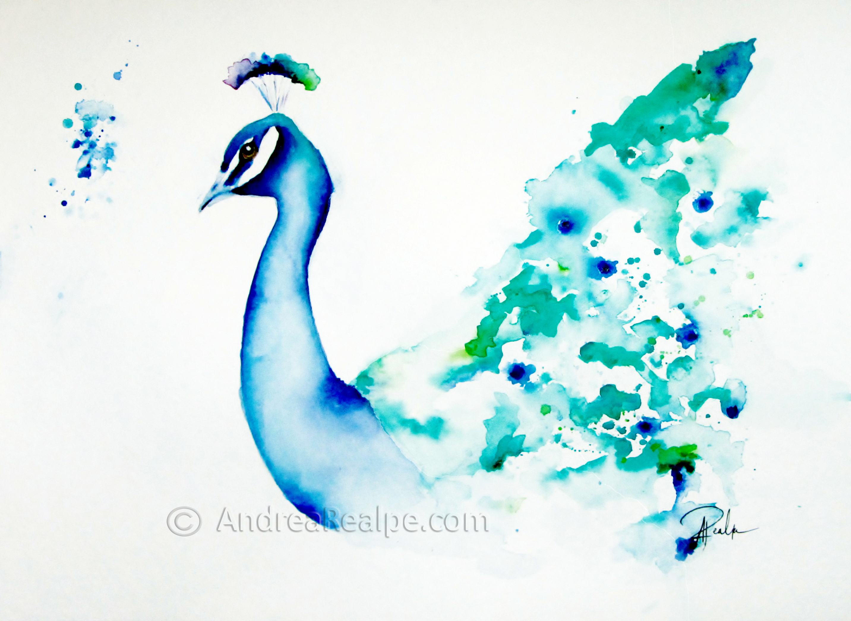 2865x2094 Watercolor Paintings Of Peacocks Peacock Watercolor Painting