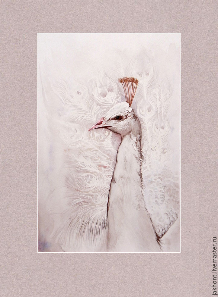 722x986 White Peacock Watercolor Painting Shop Online On Livemaster With