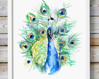 340x270 Drawn Peacock Watercolor Painting