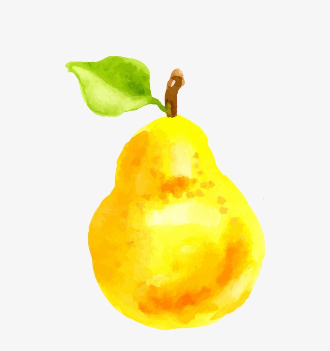650x691 Pear, Watercolor, Fresh, Fruit Png And Vector For Free Download