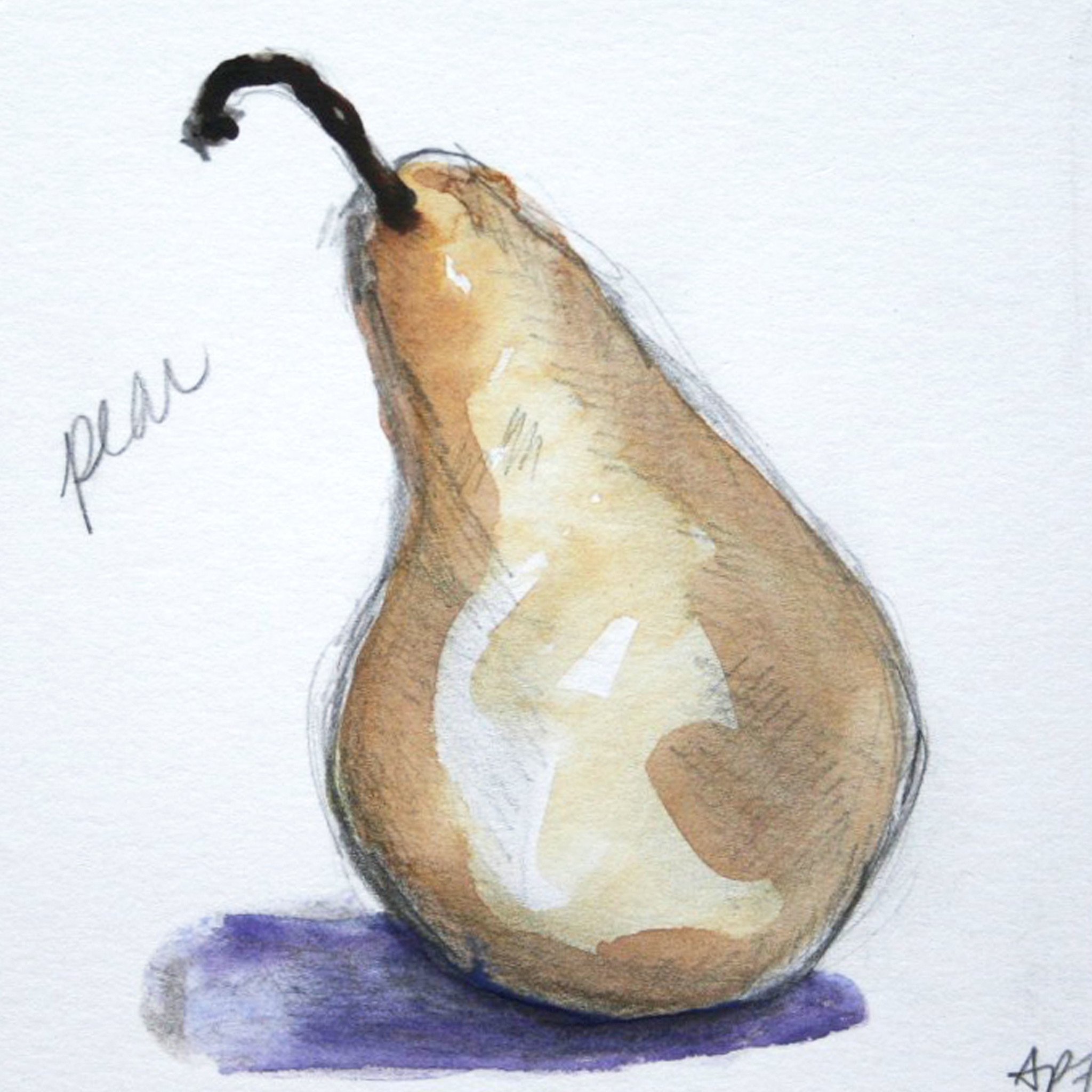 2048x2048 Pear Watercolor Sketch, Mounted On 5 X 5 Box Panel Andie Freeman