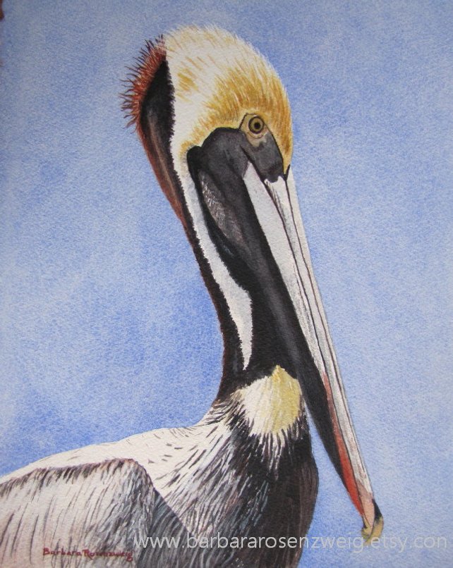 642x806 Pelican Bird Print Nautical Home Decor Pelican Wall Art Etsy