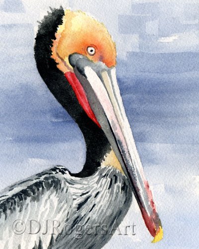 400x500 Pelican Watercolor Art Print Signed By Artist Dj