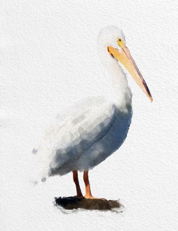570x738 Pelican Watercolor Painting Art Print Bird Watercolor Black White