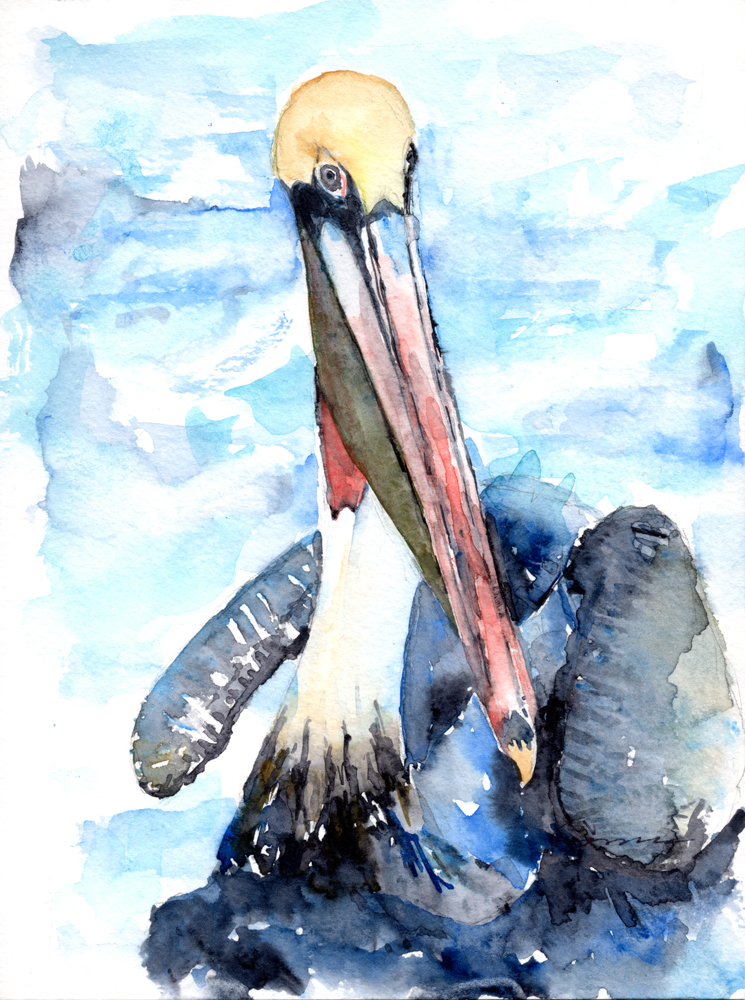 745x1000 Pelican Watercolor Painting