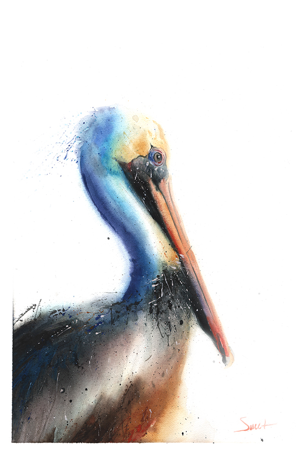 600x900 Pelican Watercolor Print Watercolor Animal Paintings