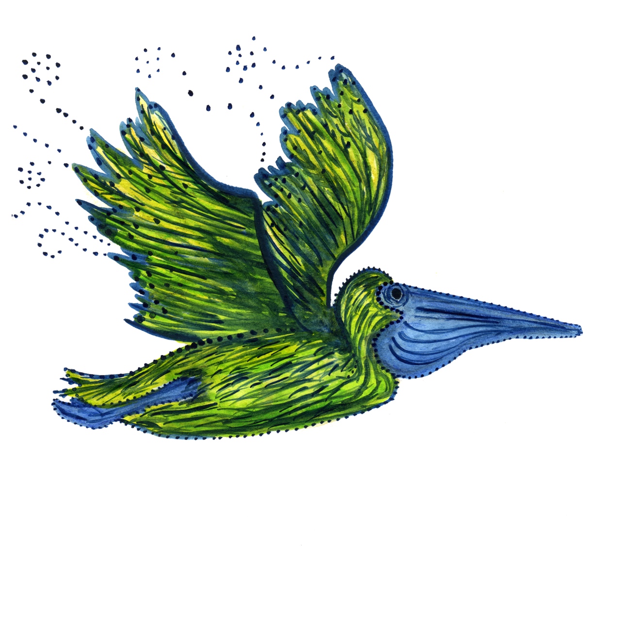 1280x1280 Pelican Watercolor Print Watercolor Animals Amp United States