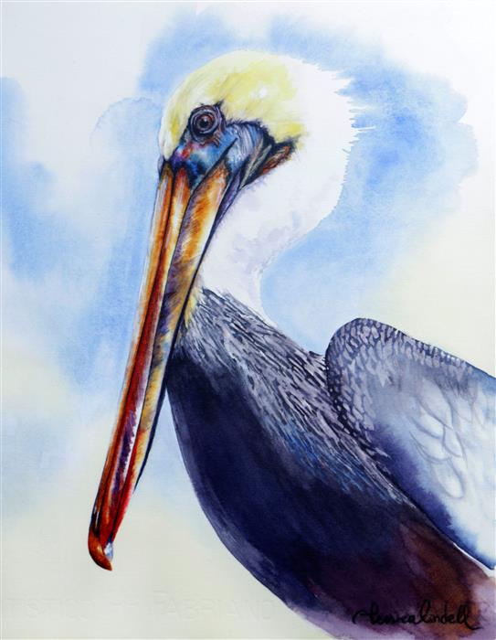 543x700 Pelican By Jessica Lindell