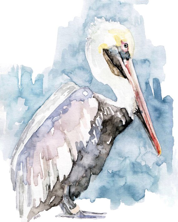 570x712 Watercolor Painting Pelican Painting Pelican Print Pelican Etsy
