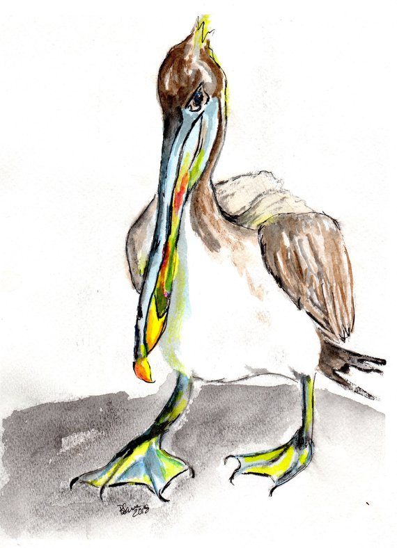 570x788 Brown Pelican Watercolor Painting. Pelican Beach Art In Etsy