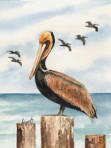 225x300 Pelican Paintings Fine Art America