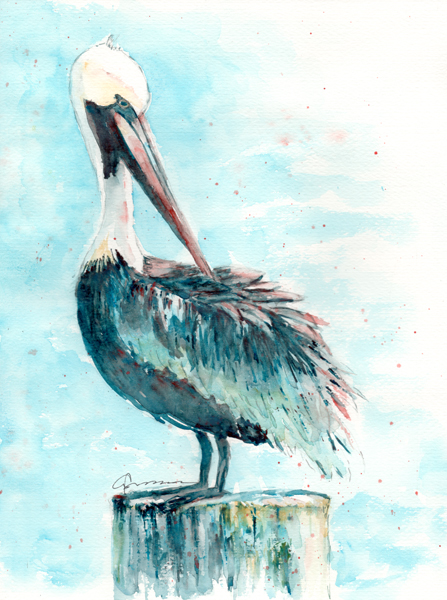 Pelican Watercolor Painting at GetDrawings | Free download