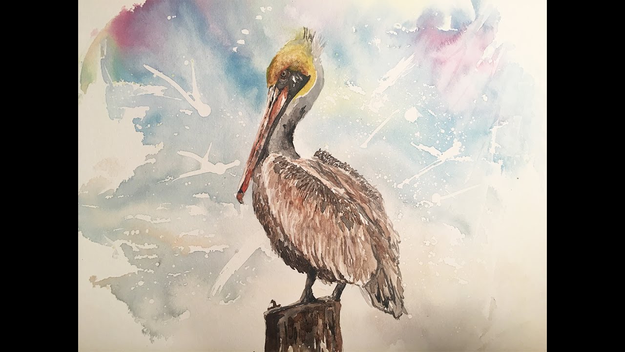 1280x720 Pelican In Watercolor