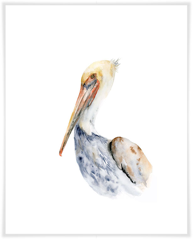 614x775 Watercolor Pelican, Beach Amp Ocean Canvas Wall Art Greenbox