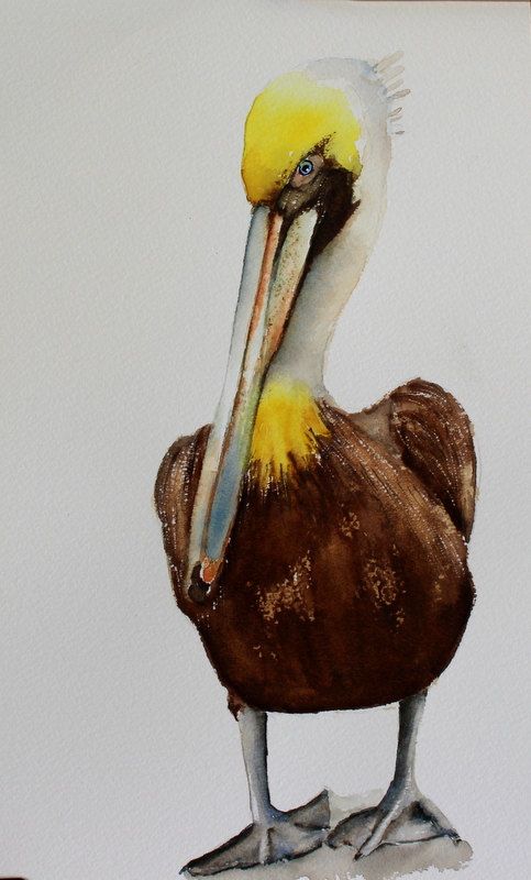 483x800 Original Bird Painting Bird Art Pelican Watercolor Painting By