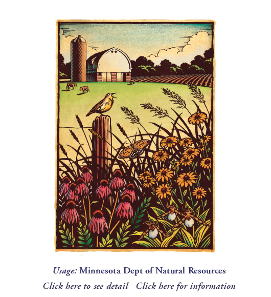 530x579 Ken Jacobsen Freelance Illustrator Pen And Ink Illustration