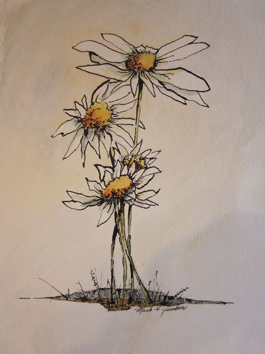 540x720 Flowers Pen Amp Ink 671