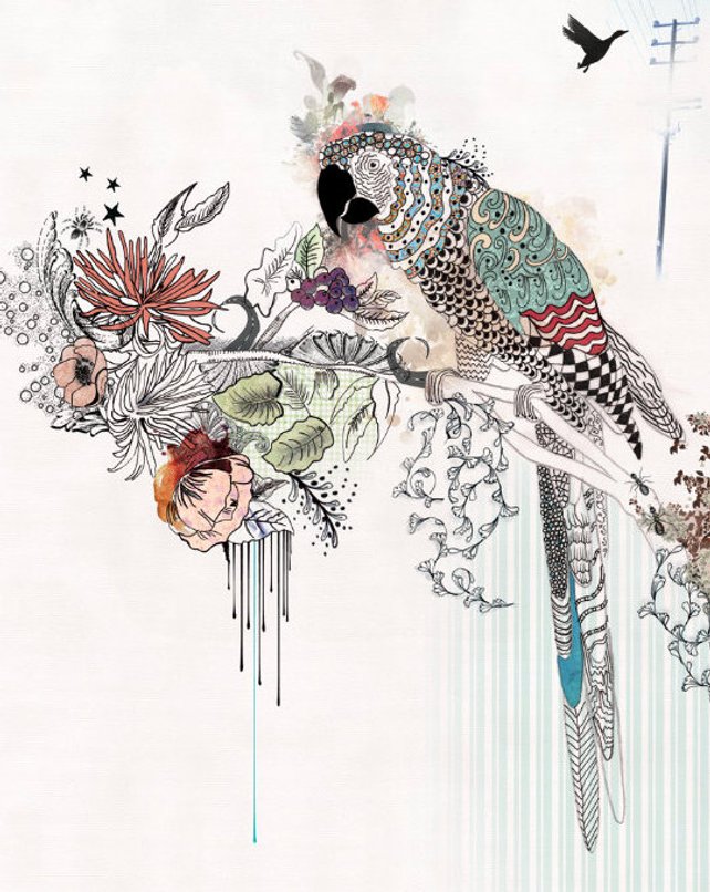 642x806 Watercolor Painting Bird Art 11x14 Print Original Pen Amp Ink Etsy