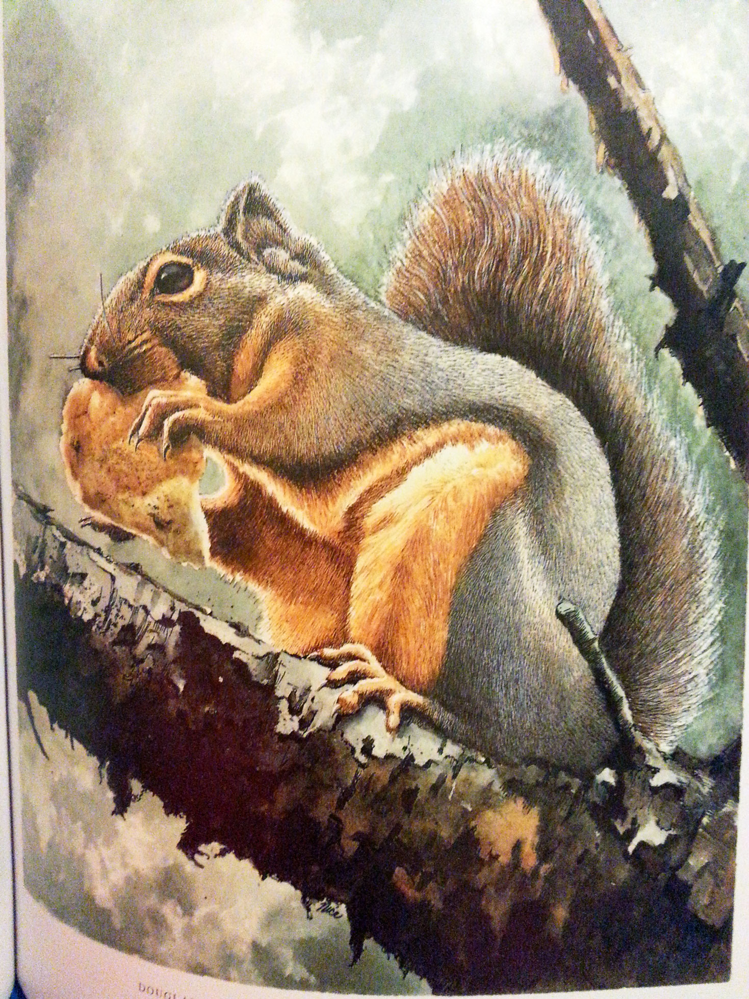 1469x1959 Painting With Watercolor Ink And Pen By Claudia Nice Book Addicts