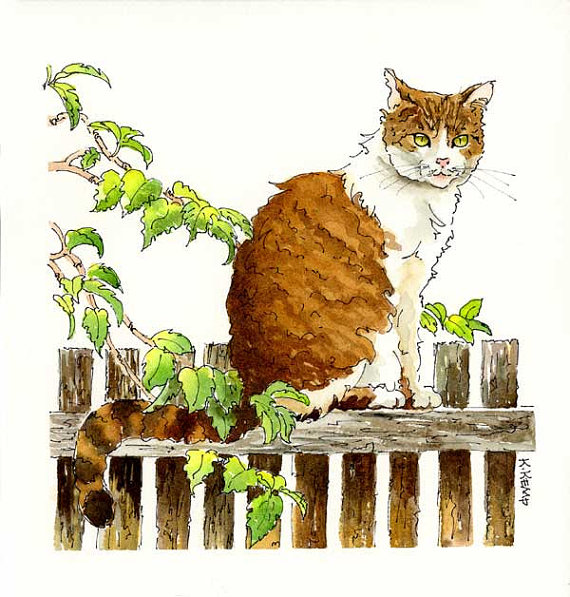 570x597 Cat Pen And Ink Drawing Illustration With By Wildfernfarm On Etsy